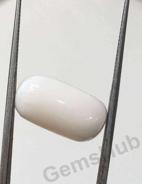 7.96 ct Natural Certified  White Coral/सफ़ेद मूंगा